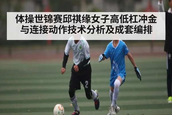 体操世锦赛邱祺缘女子高低杠冲金与连接动作技术分析及成套编排